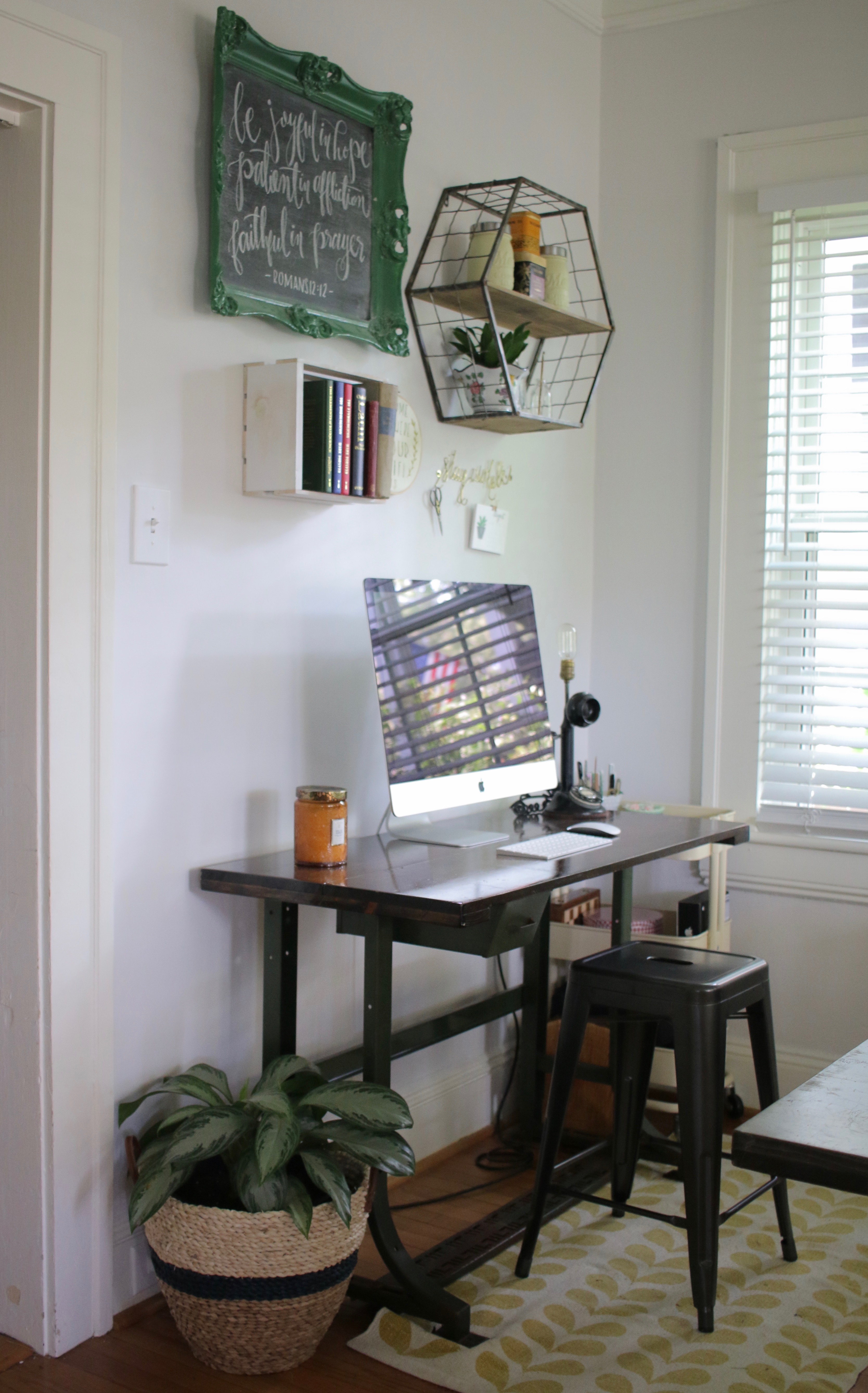 Chinese Evergreen Houseplant | Mrs Amber Apple