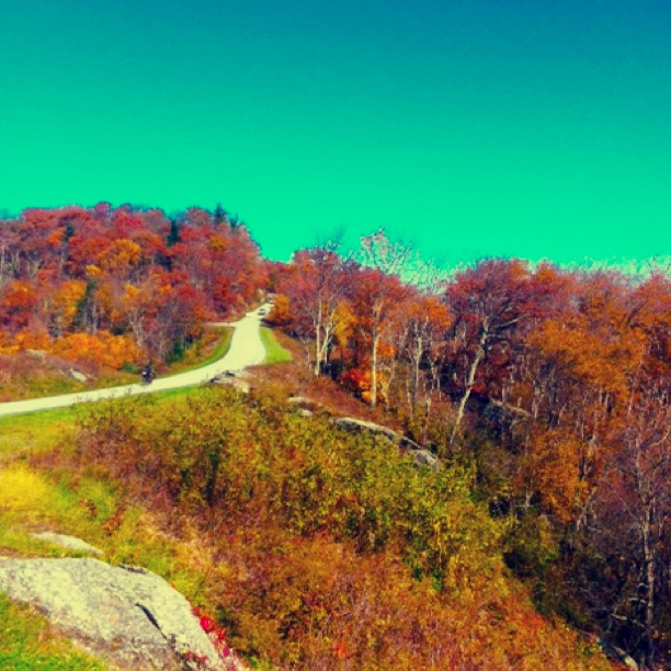 The Blue Ridge Parkway