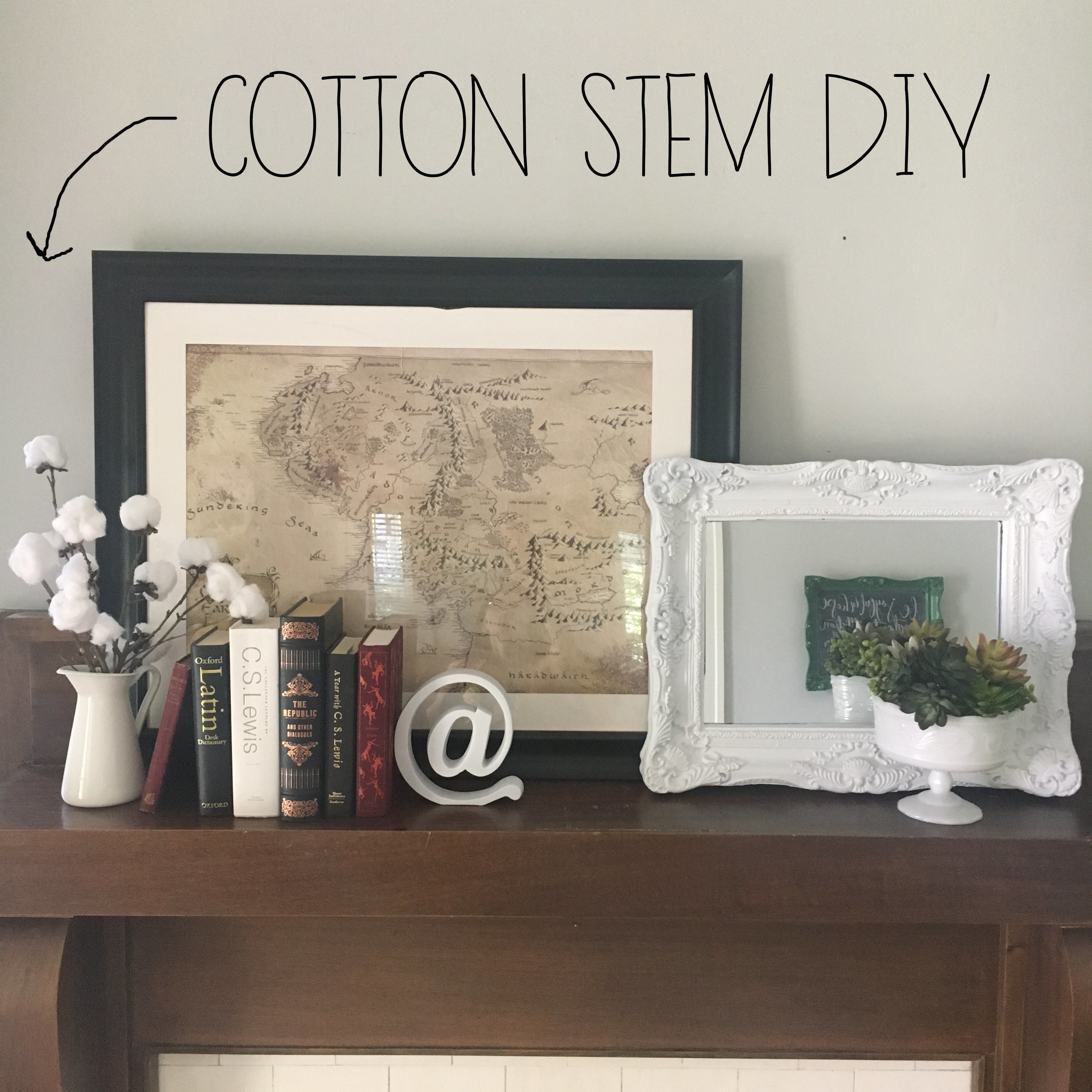 Cotton Stems DIY