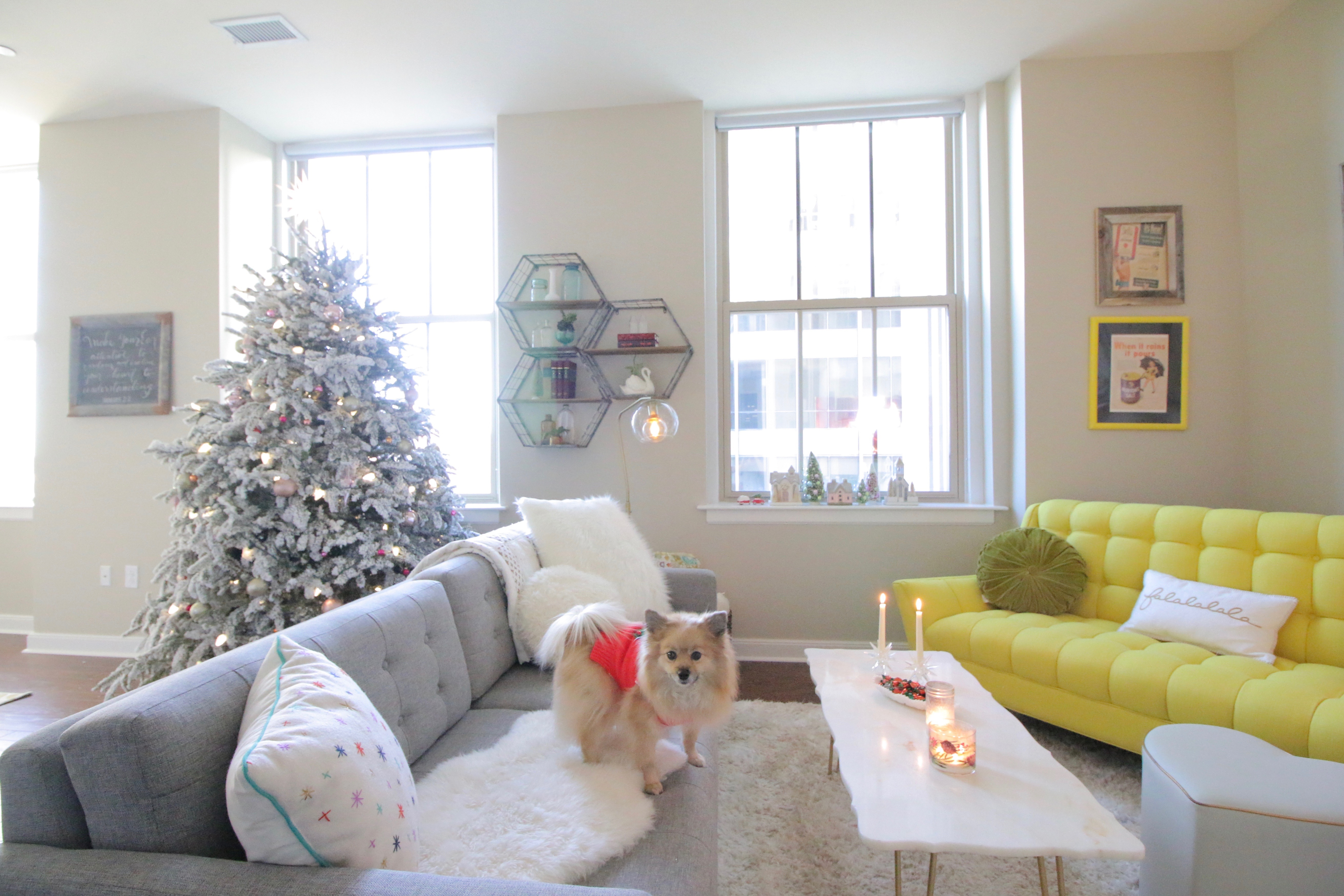 Merry + Bright